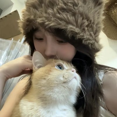 完美的一天 封面